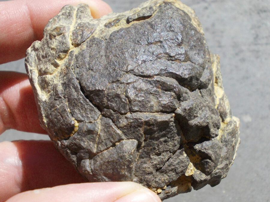 Al Haggounia 001 Enstatite #1 - 214 g