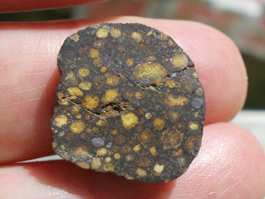 NWA 801 CR2 #8 - 4,8 g