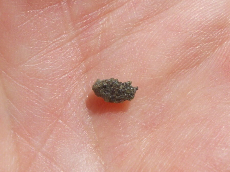 NWA 7325 #1 Ach Ung Paired – 0,04 g