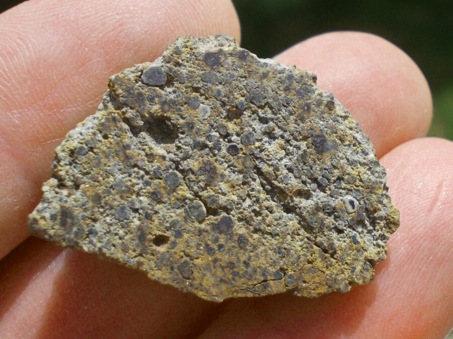 NWA 11882 LL4 #2 - 9,7 g