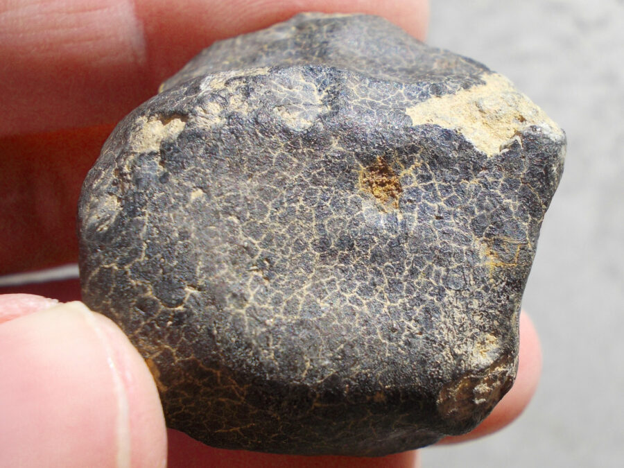 NWA 7337 LL4 #1 paired - 72 g