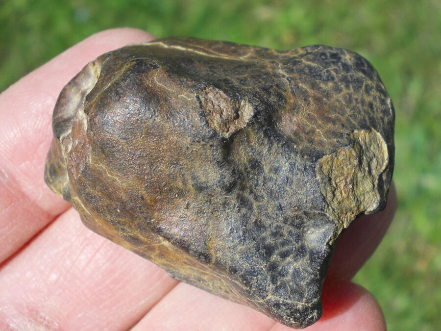 NWA 7337 LL4 #2 paired - 60 g