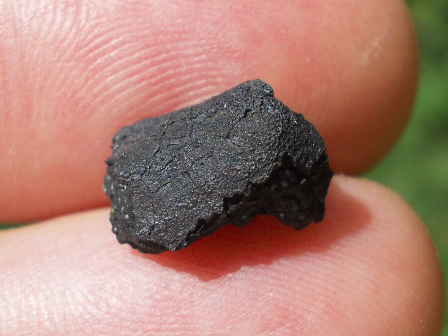 TARDA C2 Ung #20 - 0,6 g