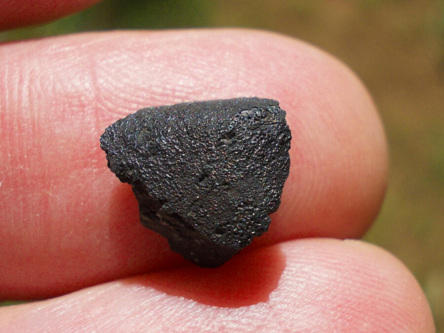 TARDA C2 Ung #24 - 0,5 g