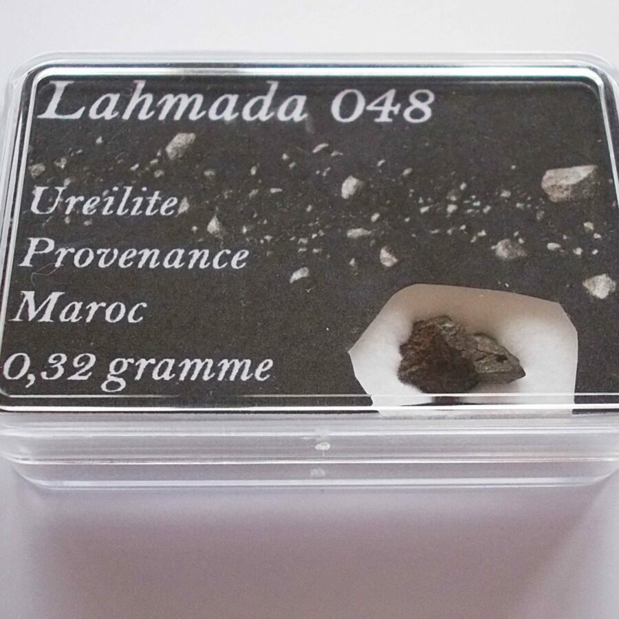 Ureilites Allmétéorite Pour la Science et les Collectionneurs