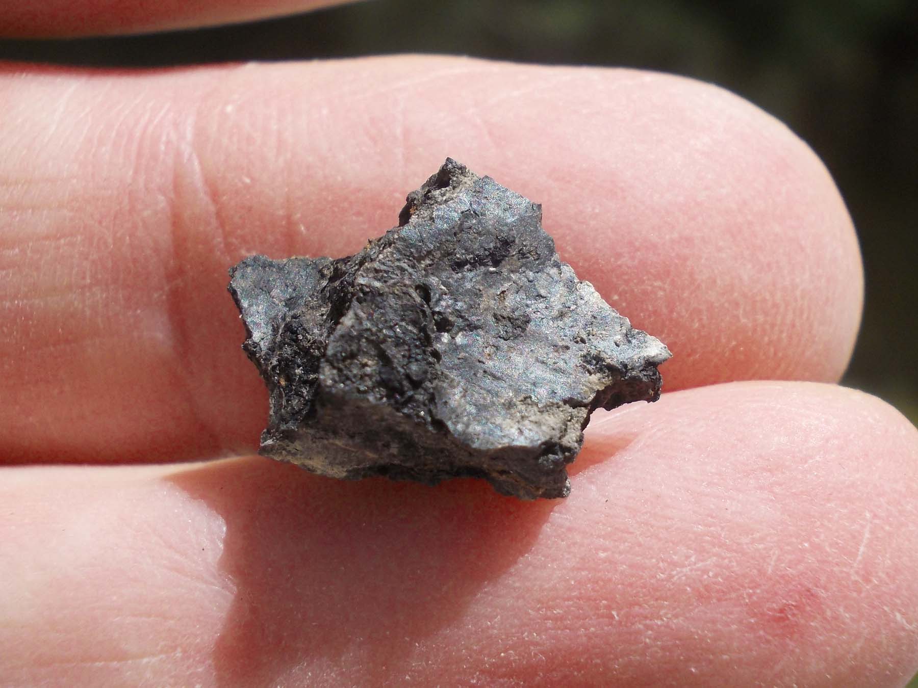 Lignite couche K-T Mexique #11 – 0,9 g – Allmétéorite – Pour la