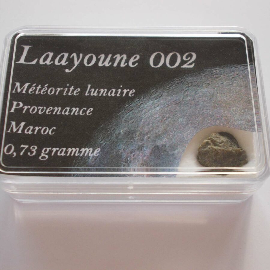 Laayoune 002 Lunaire paired #12 - 0,73 g