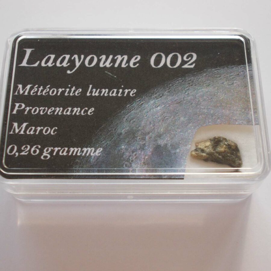 Laayoune 002 Lunaire paired #9 - 0,26 g