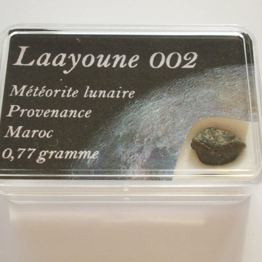 Laayoune 002 Lunaire paired #10 - 0,77 g