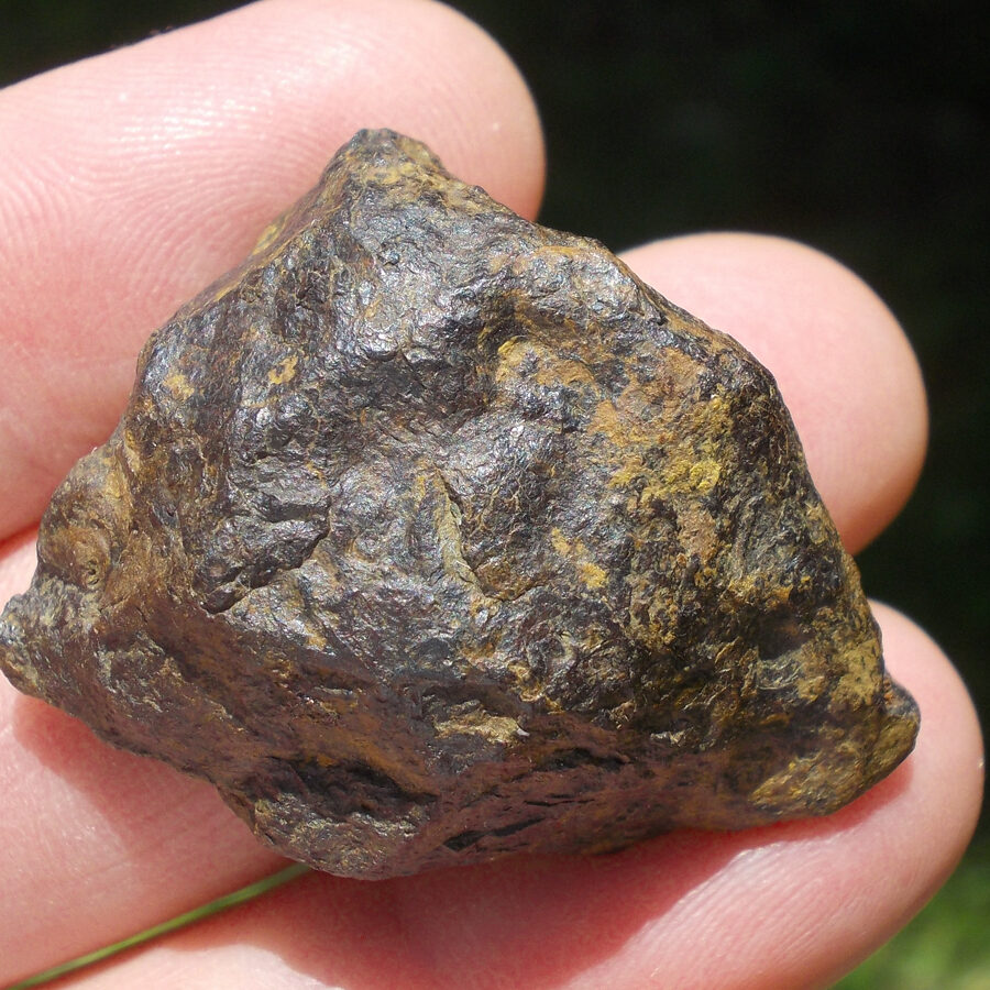 Twannberg Fer #1 - 56,64 g