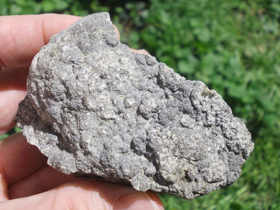 Stromatolite bitumineuse, Gandaillat, France #1 - 229 g