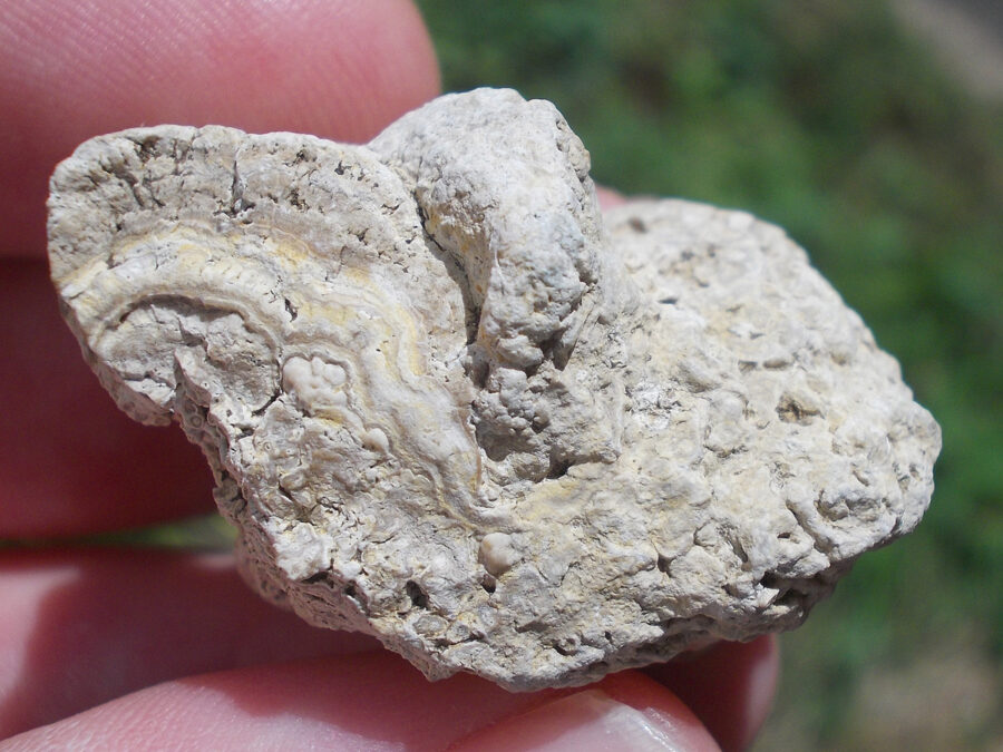 Stromatolite, 25 millions d'années, France, Clermont-Ferrand #8 - 22 g