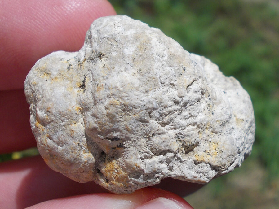 Stromatolite, 25 millions d'années, France, Clermont-Ferrand #9 - 23 g