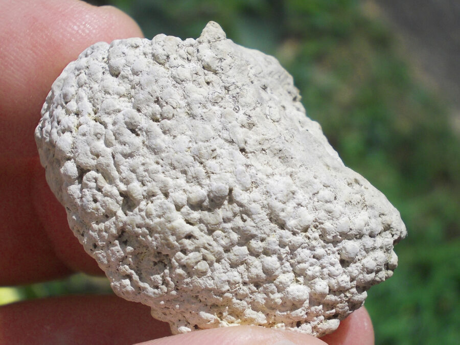 Stromatolite, 25 millions d'années, France, Clermont-Ferrand #7 - 21 g