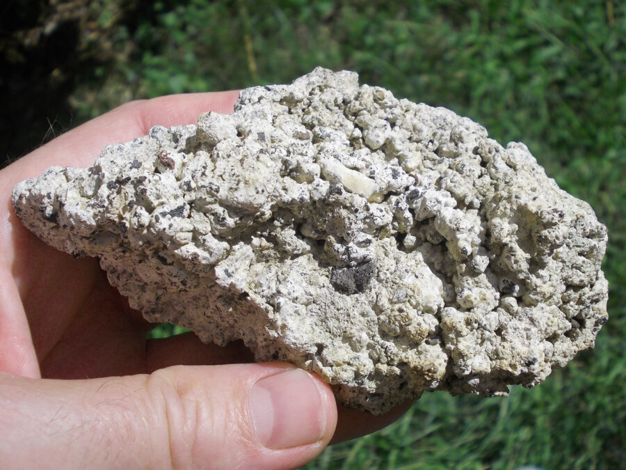 Stromatolite, 25 millions d'années, France, Clermont-Ferrand #11 - 190 g