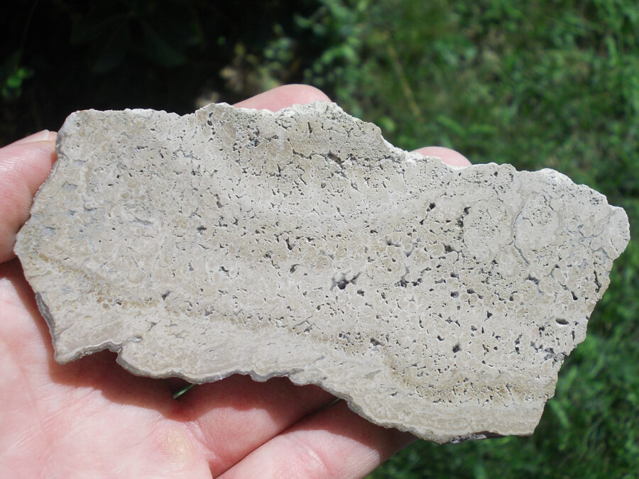 Stromatolite, 25 millions d'années, France, Clermont-Ferrand #10 - 170 g