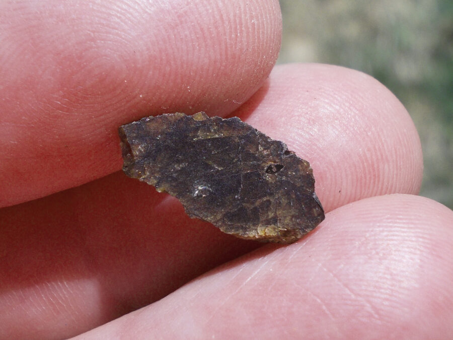 Oued Chebeika 003 Pallasite #10 - 0,9 g