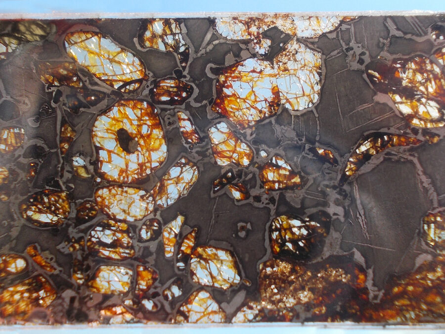 Gyarub Zangbo 001 Pallasite #2 -  3,1 g