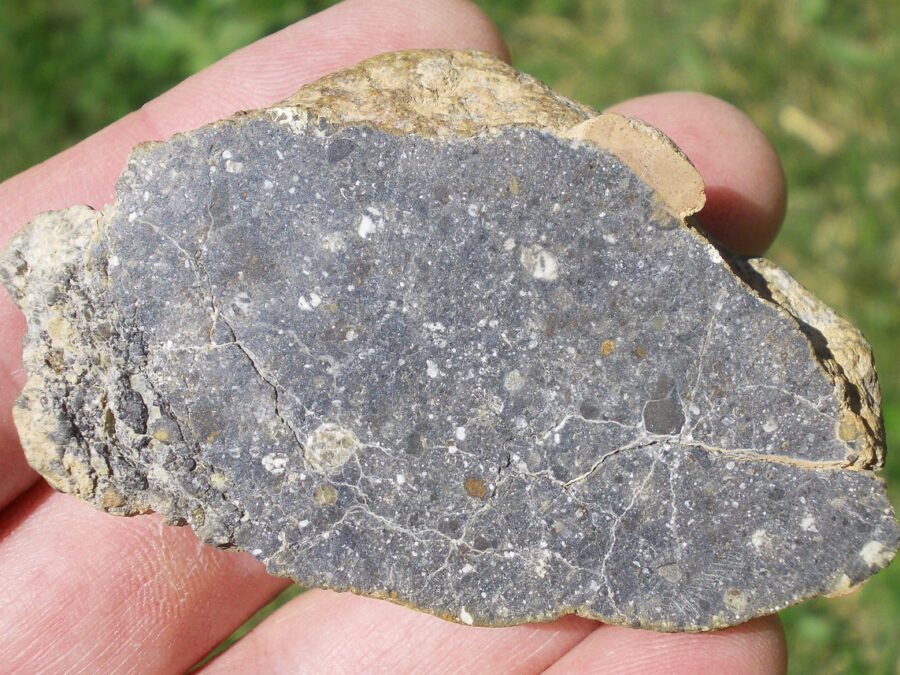Bechar 008 Howardite #9 - 64,2 g