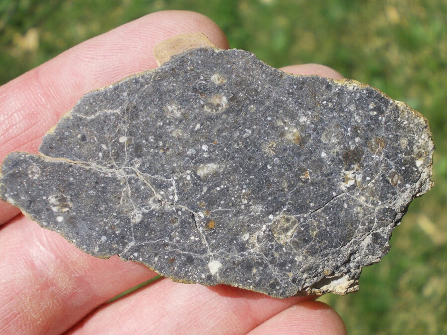 Bechar 008 Howardite #10 - 37,5 g