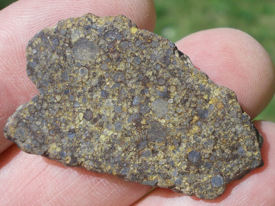 NWA 10241 LL3 #13 - 6,9 g