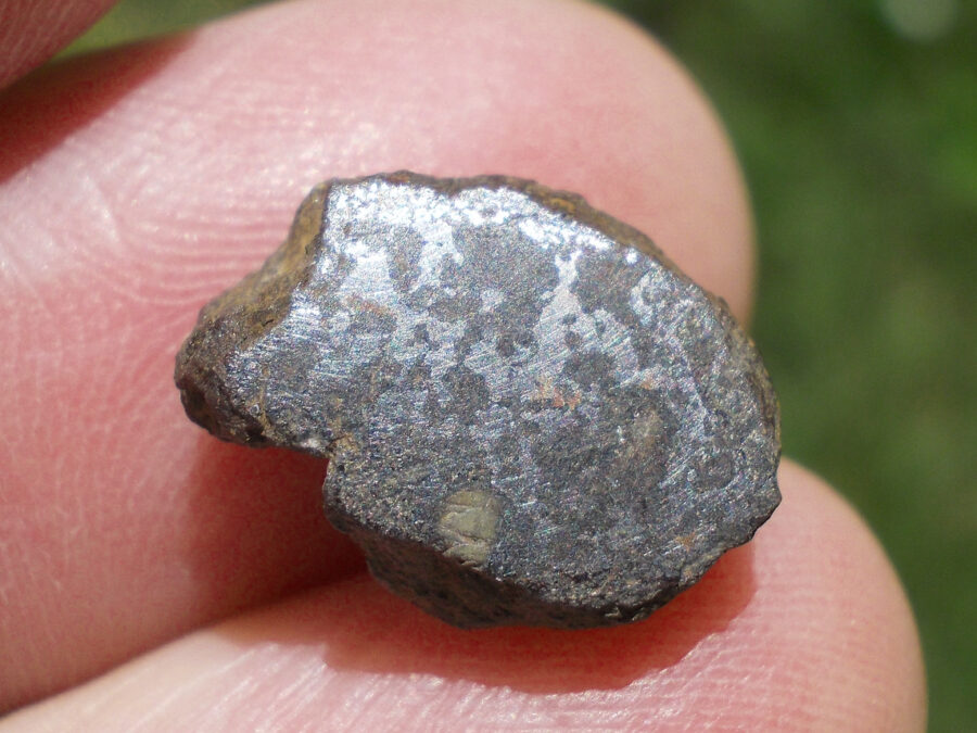 Vaca Muerta Mésosidérite #31 - 2,4 g
