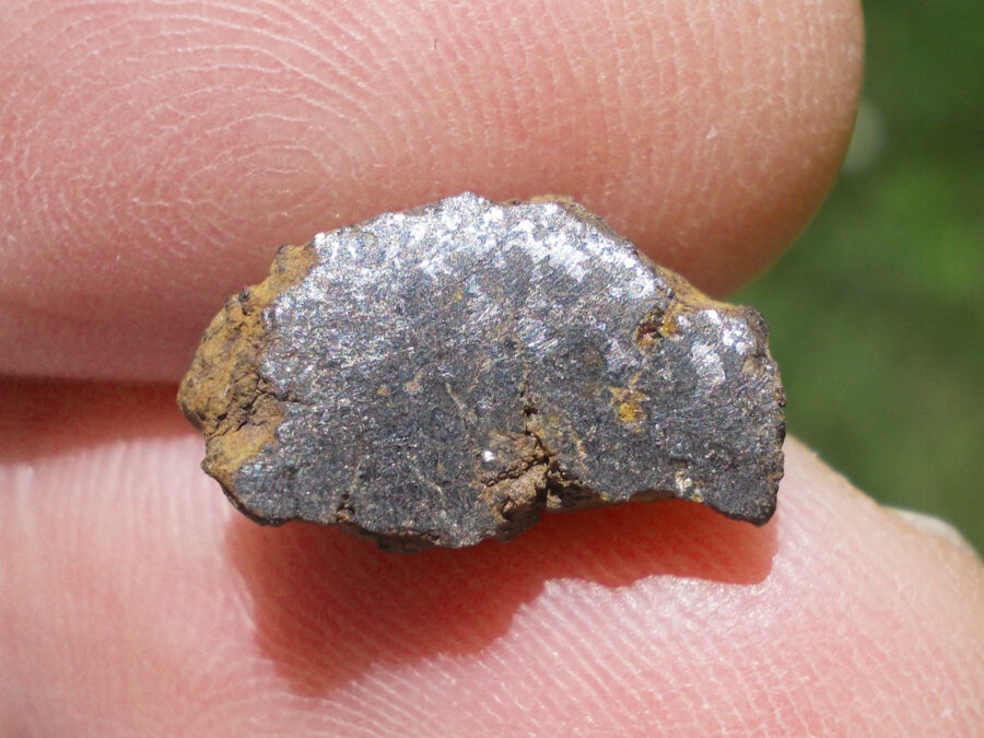 Vaca Muerta Mésosidérite #33 - 1,5 g