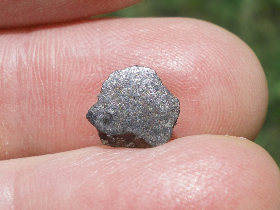 Vaca Muerta Mésosidérite #34 - 0,6 g