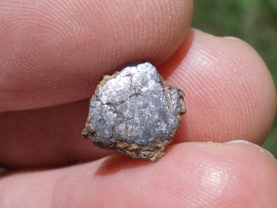 Vaca Muerta Mésosidérite #35 - 1,3 g