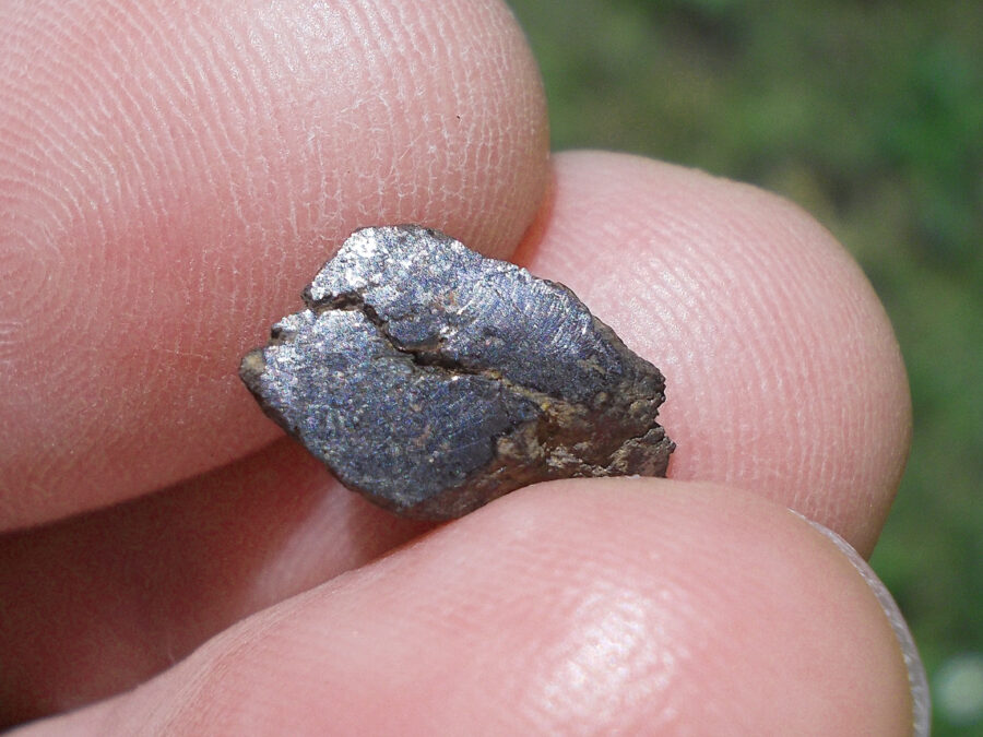 Vaca Muerta Mésosidérite #36 - 1,3 g