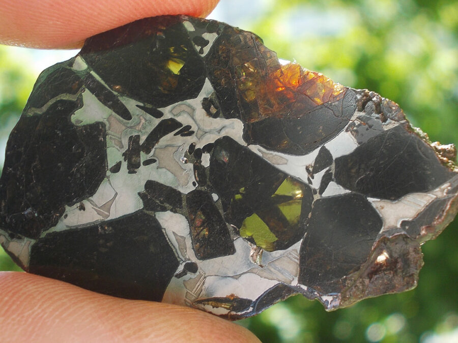 NWA 16774 Pallasite #1 -  11,2 g
