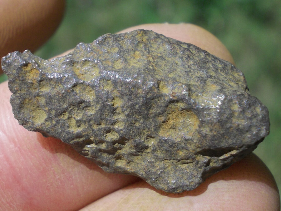 Sikhote Alin #10 Fer IIAB - shrapnel 12,2 g