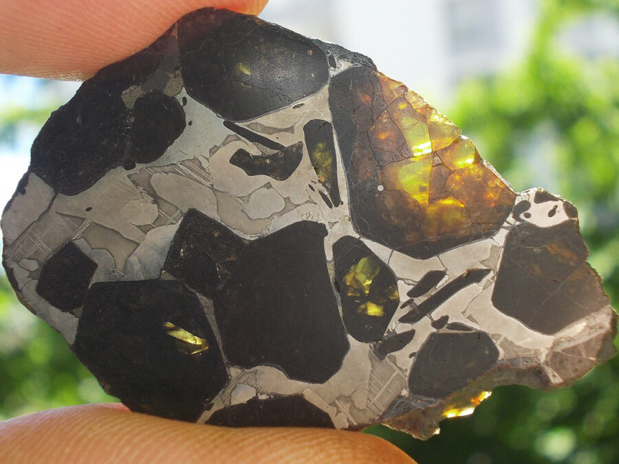 NWA 16774 Pallasite #10 -  11,8 g