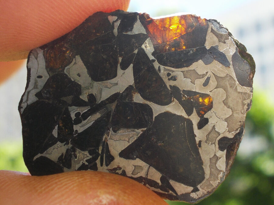 NWA 16774 Pallasite #9 -  6,4 g