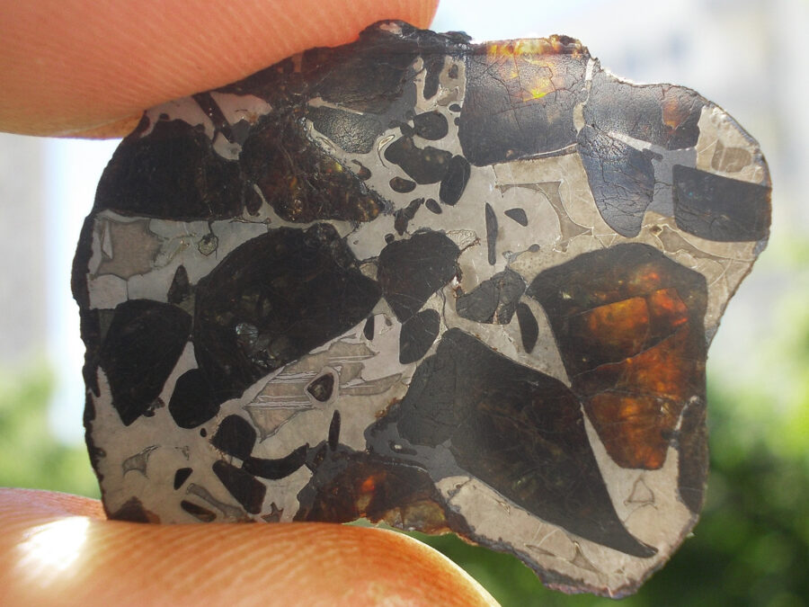 NWA 16774 Pallasite #8 -  5,9 g