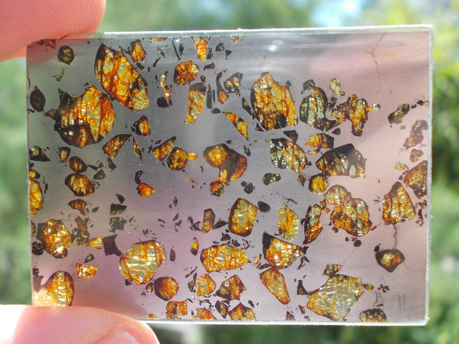 Gyarub Zangbo 001 Pallasite #23 -  7,1 g