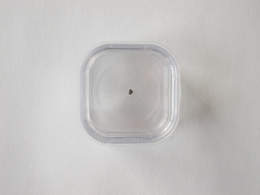 NWA 7034 (paired) Mars #20 - micro