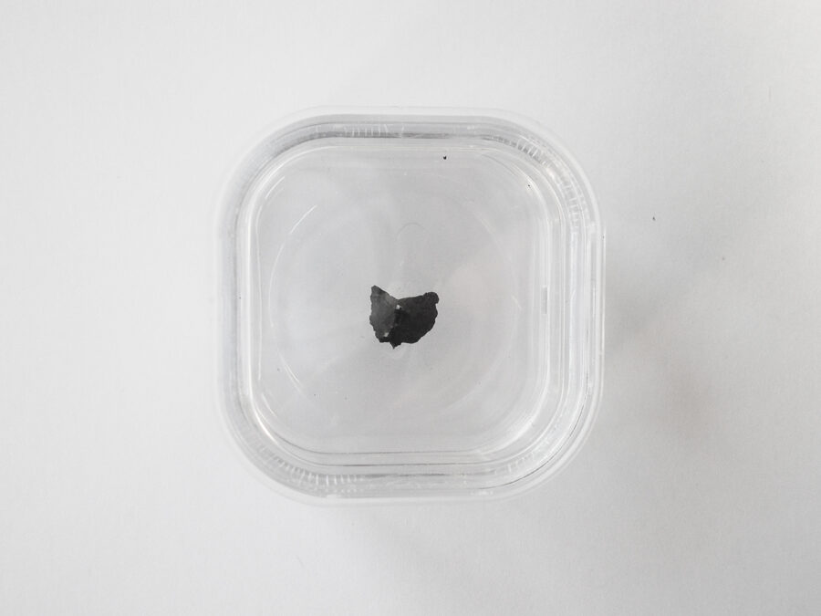 Oued Chebeika 002 CI1 #28 - 0,13 g