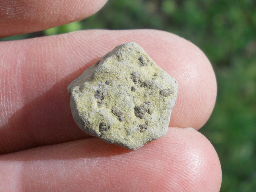 Tarkint 001 Mars Shergottite #3 - 1,7 g