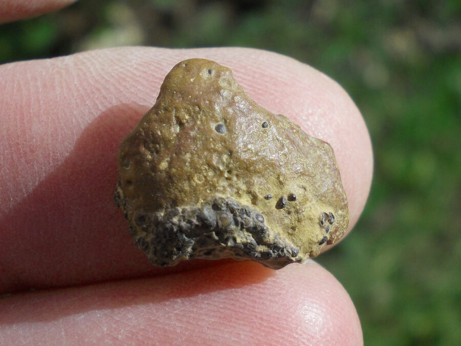 Tarkint 001 Mars Shergottite #7 - 1,6 g