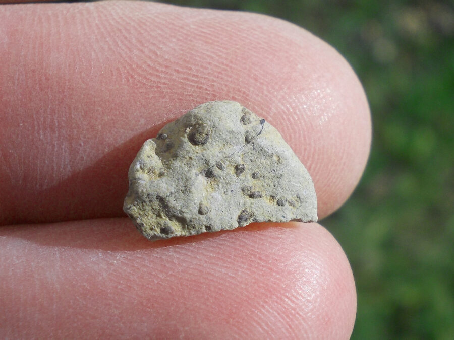 Tarkint 001 Mars Shergottite #9 - 0,9 g