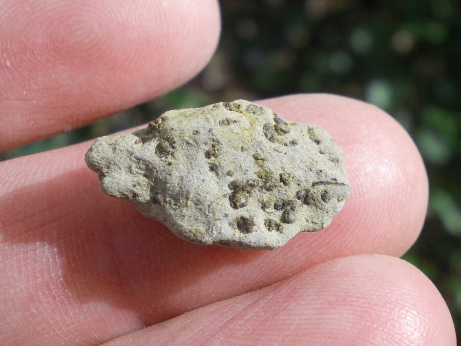 Tarkint 001 Mars Shergottite #5 - 2,3 g