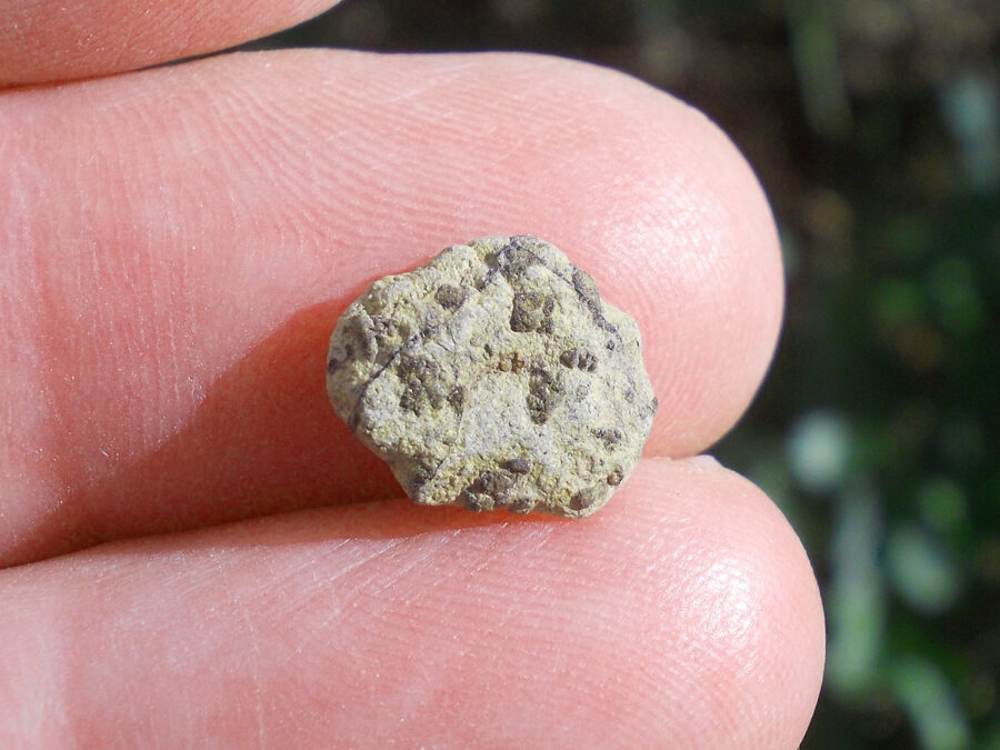 Tarkint 001 Mars Shergottite #13 - 0,7 g