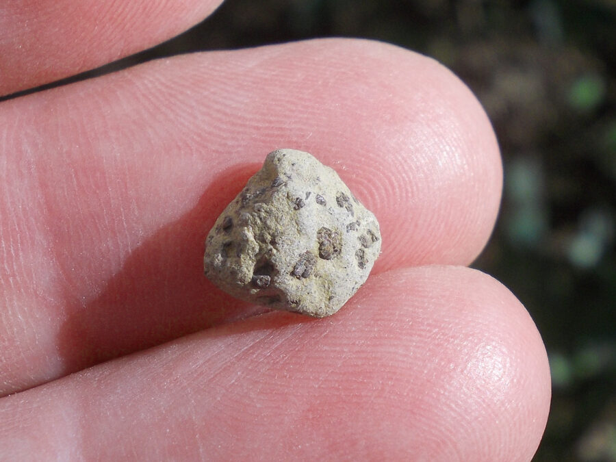 Tarkint 001 Mars Shergottite #12 - 0,6 g