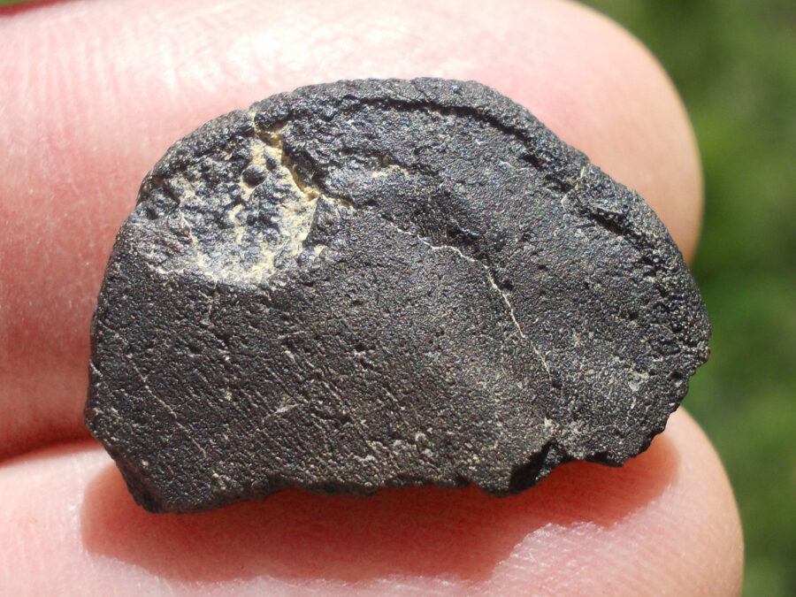 El Mrira 002 CM1 #1 - 2,8 g