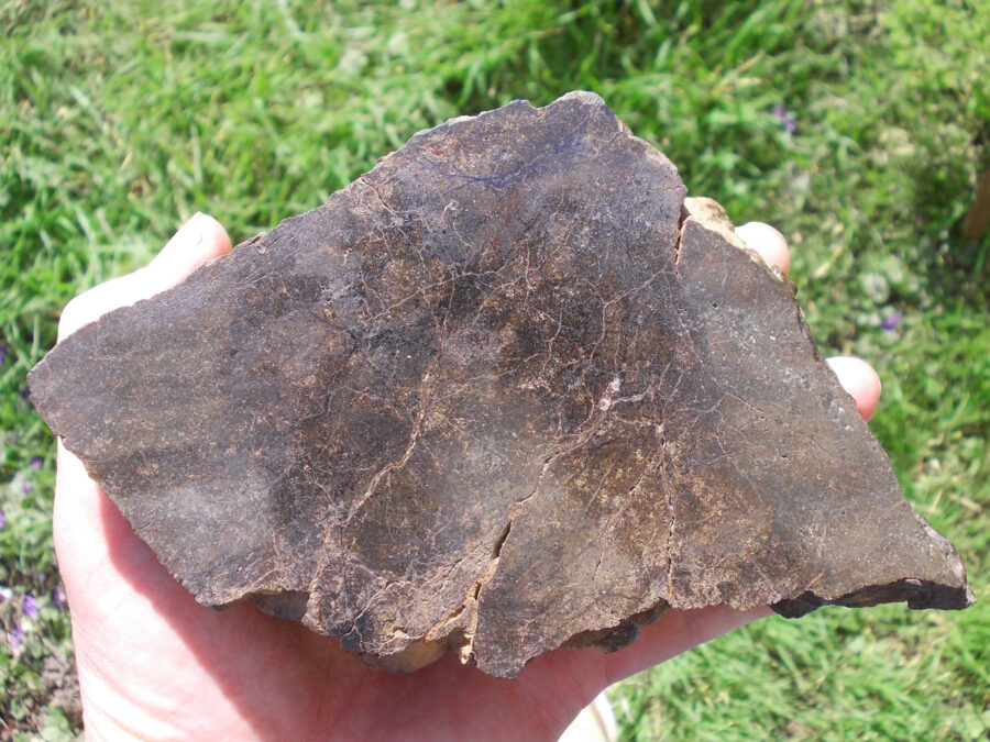 Bir Ounane 001 #1 - 1400 g