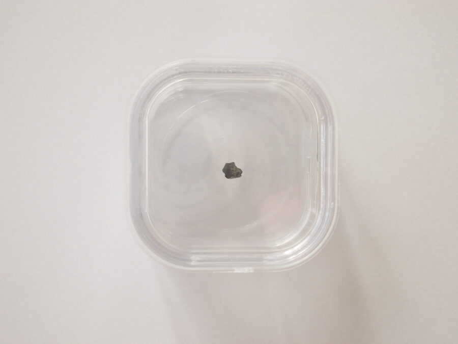 El Mrira 002 CM1 #4 - 0,03 g