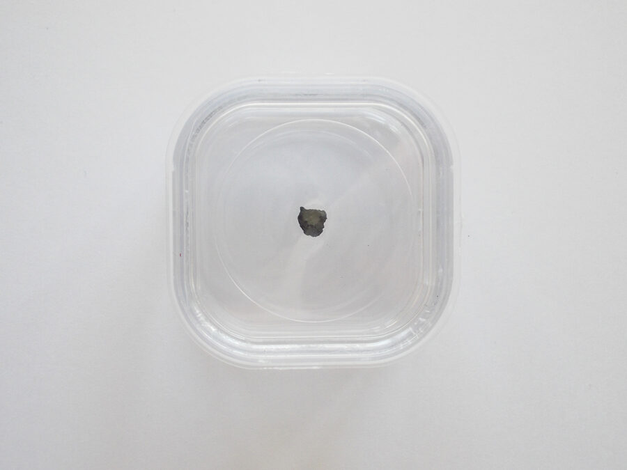 Oued Chebeika 002 CI1 #34 - 0,03 g