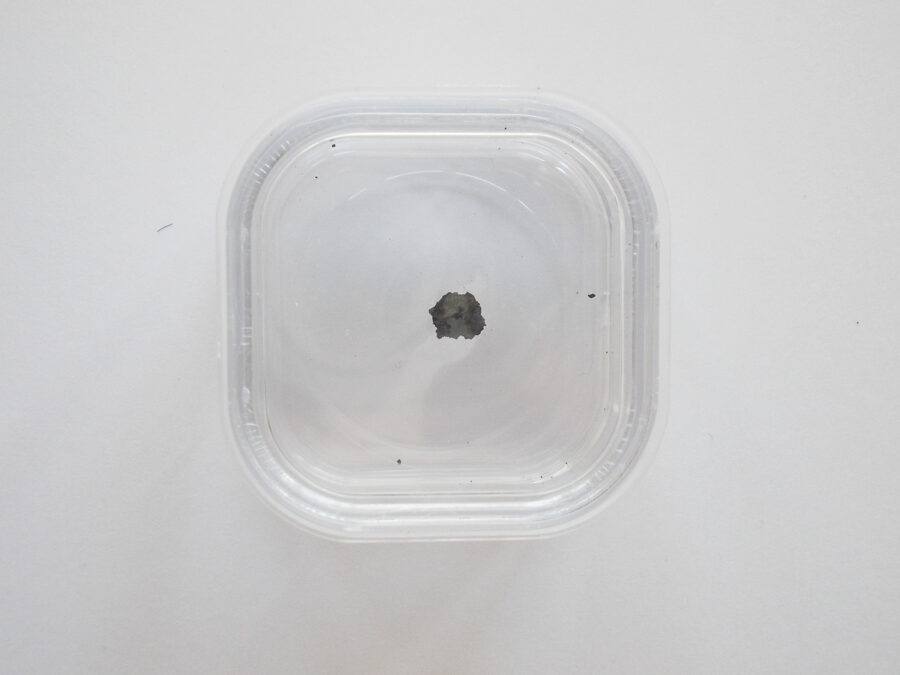 Oued Chebeika 002 CI1 #35 - 0,03 g