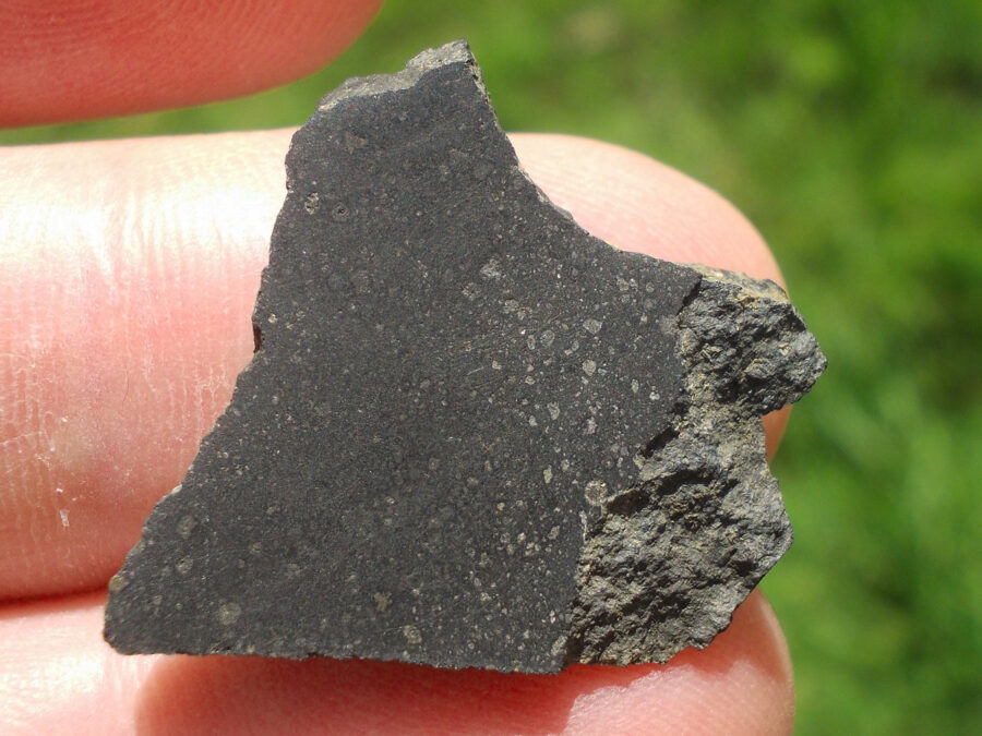 Smara 004 C2 Ung #3 - 2,5 g